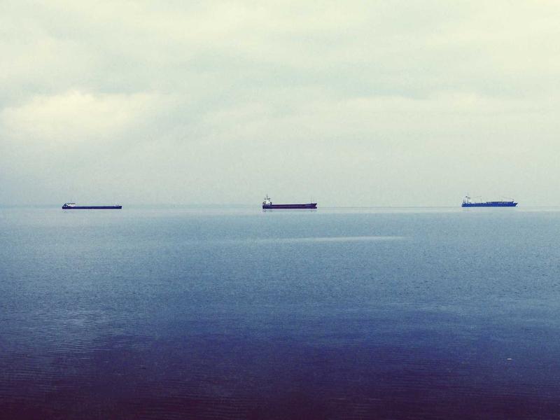 VarSynthZandOrn Neuquén